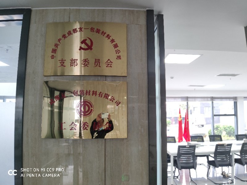 热烈祝贺bte365官网成都分公司党支部在2020年3月11日授牌成立，支部书记曹云(行政部经理)