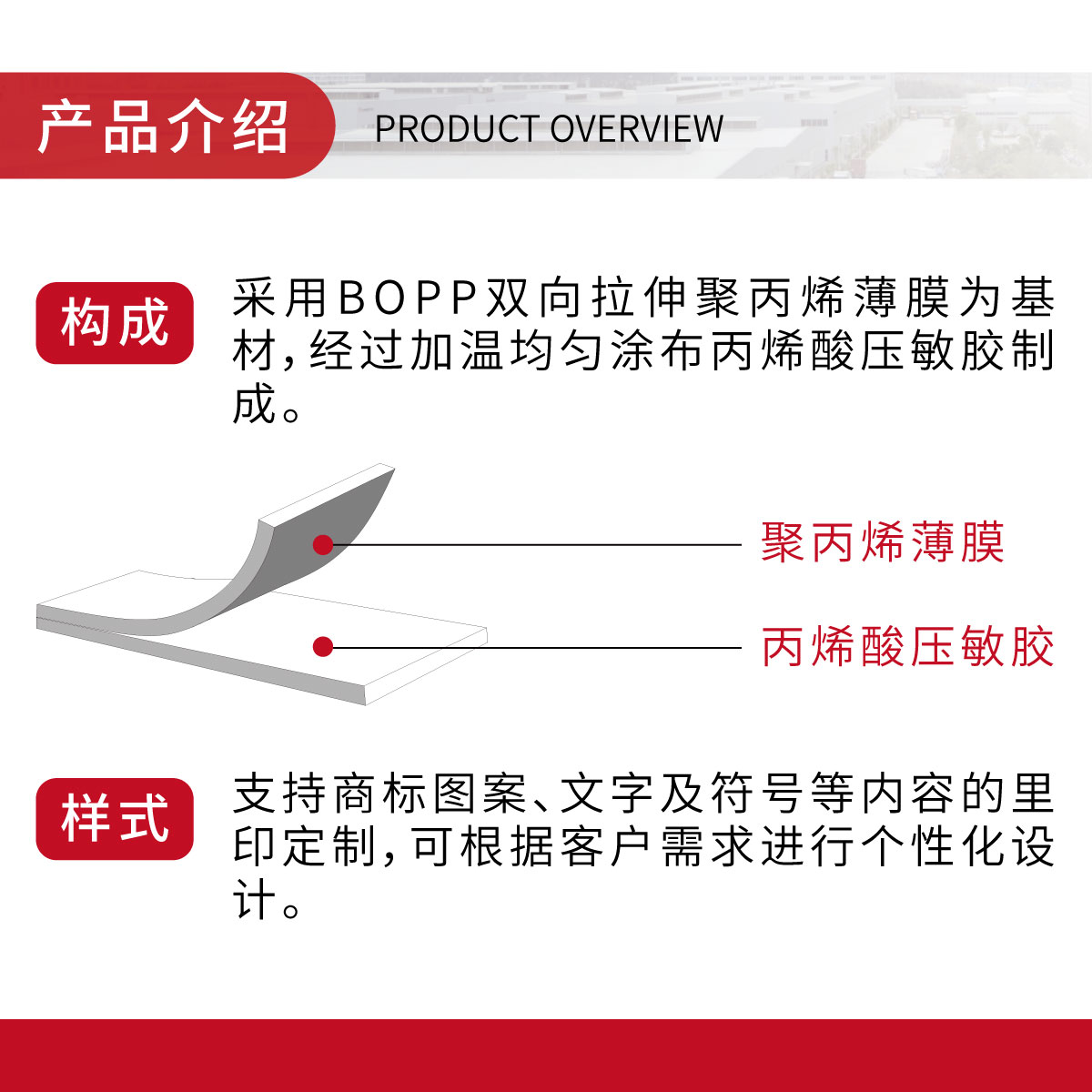 1793252094417595.jpg